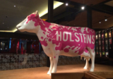 Fix Your Burger Craving at Holstein’s Shakes and Buns